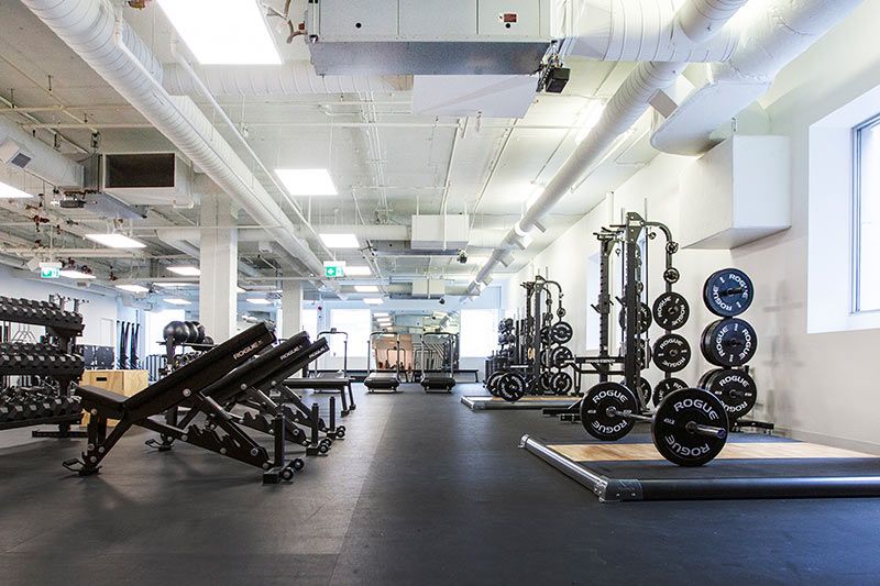 Open-gym-consult